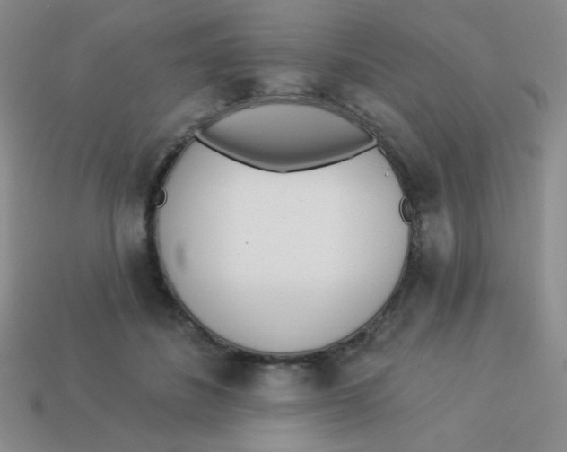 X0000113360508200910131303