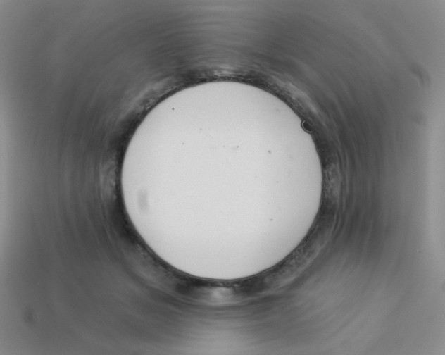 X0000113360509200910131303