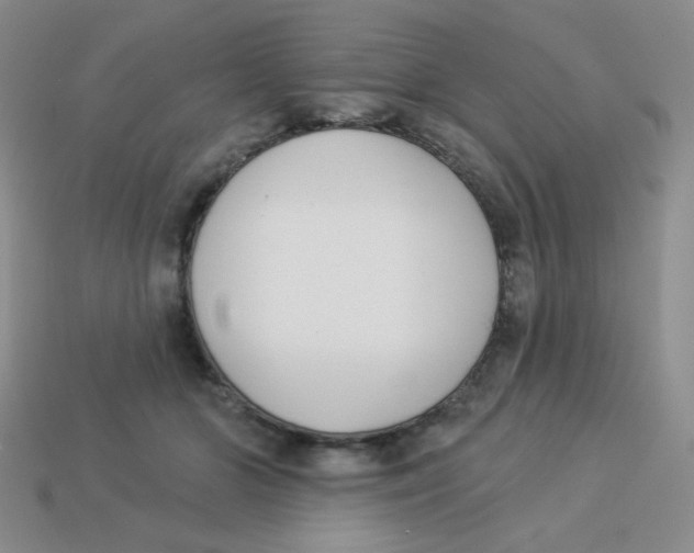 X0000113360510200910131303