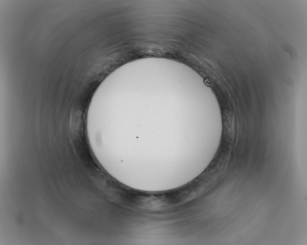 X0000113360511200910131303