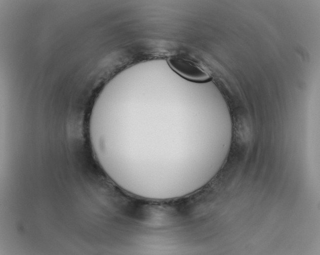 X0000113360512200910131303