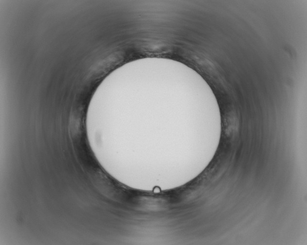 X0000113360515200910131303