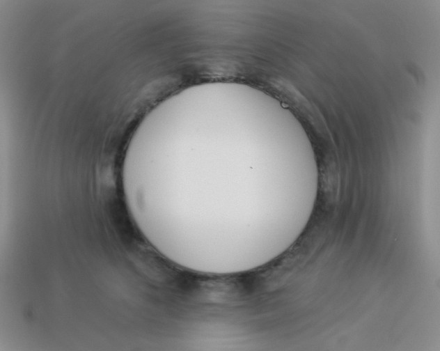 X0000113360516200910131303