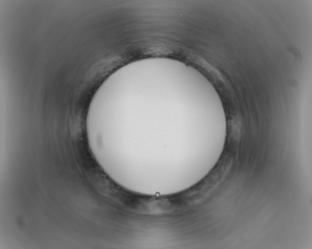 X0000113360517200910131303