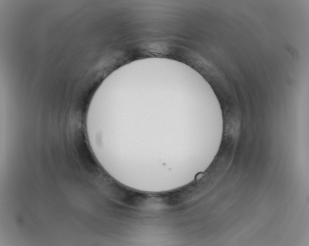 X0000113360518200910131302