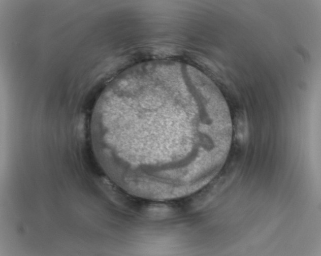 X0000113360519200910131302
