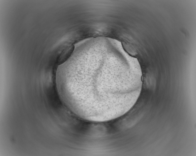 X0000113360520200910131302