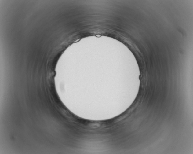X0000113360521200910131302