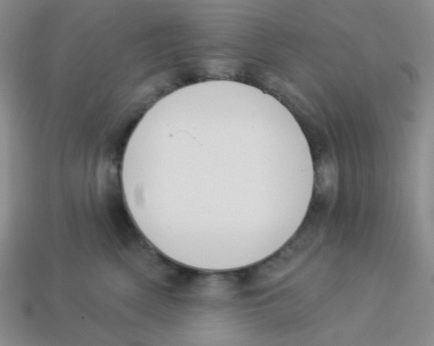 X0000113360522200910131302