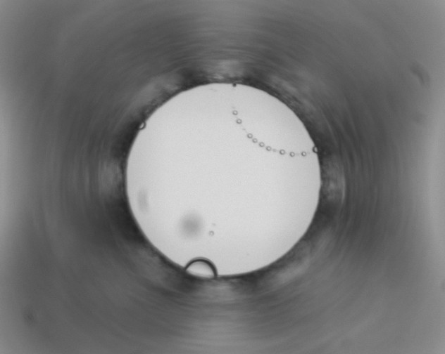 X0000113360523200910131302