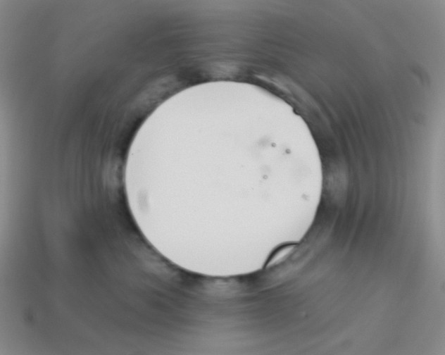 X0000113360525200910131302