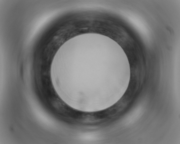 X0000113360526200910131302
