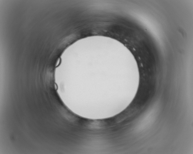 X0000113360527200910131302