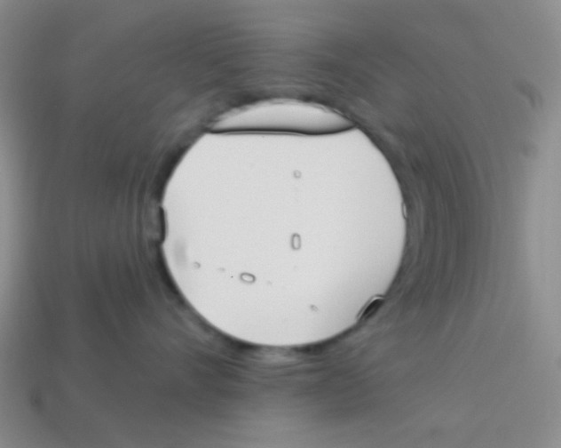 X0000113360528200910131302