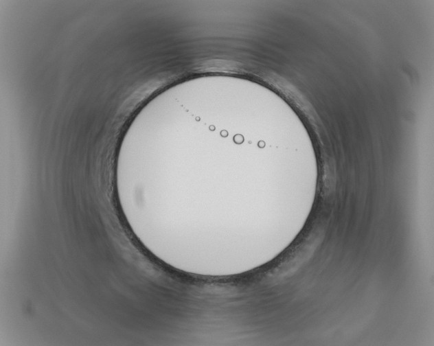 X0000113360529200910131302