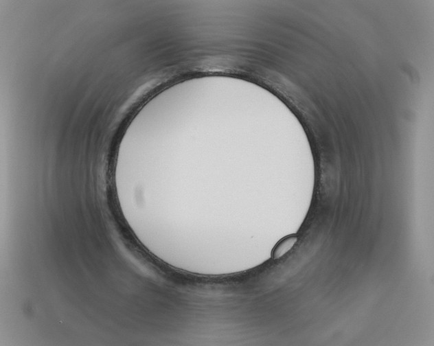 X0000113360530200910131302