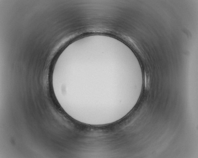 X0000113360531200910131302