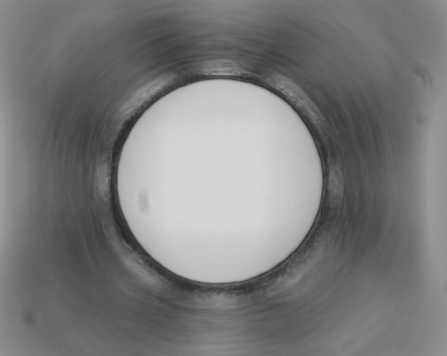 X0000113360533200910131302