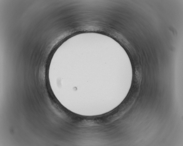 X0000113360534200910131302