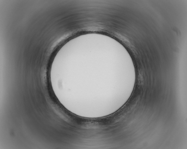 X0000113360535200910131302