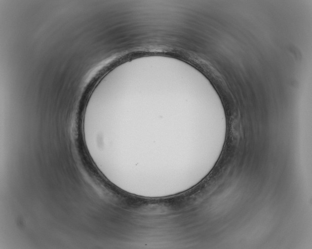 X0000113360536200910131302