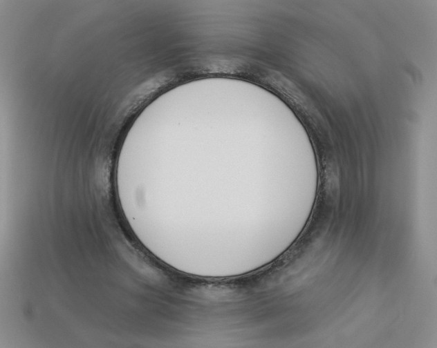 X0000113360537200910131302