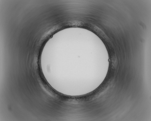 X0000113360538200910131302
