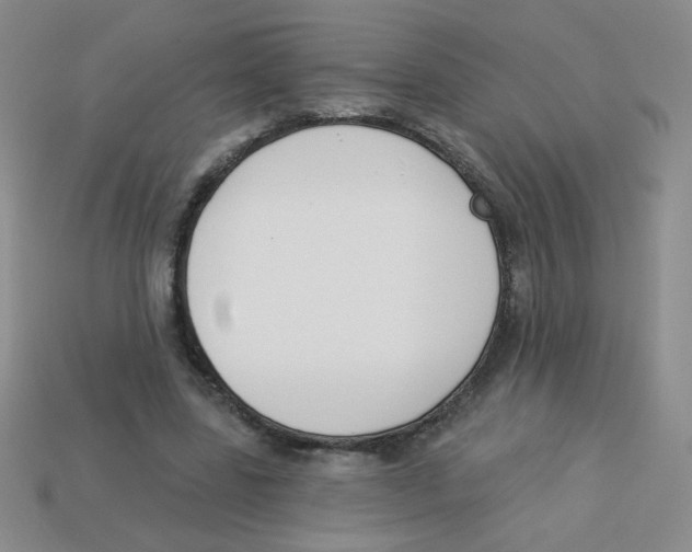 X0000113360539200910131302