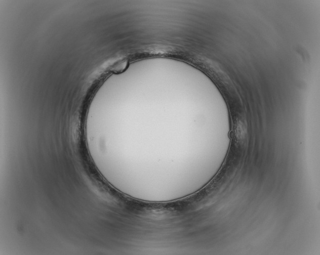 X0000113360540200910131302
