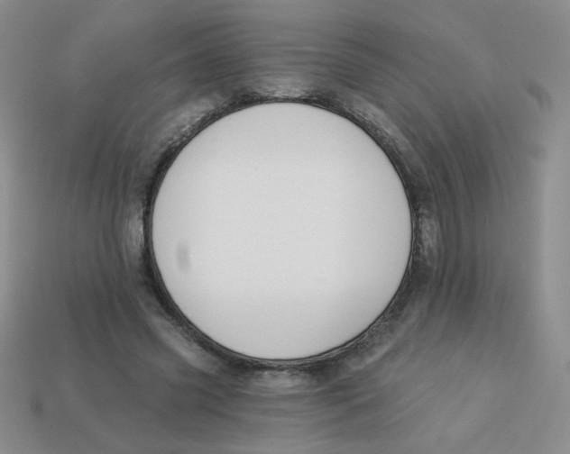 X0000113360541200910131302