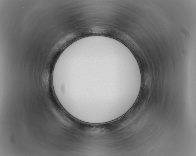 X0000113360542200910131302