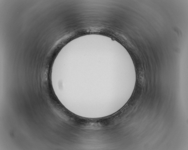 X0000113360543200910131302