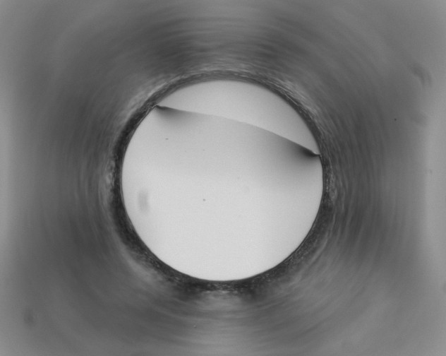X0000113360544200910131302