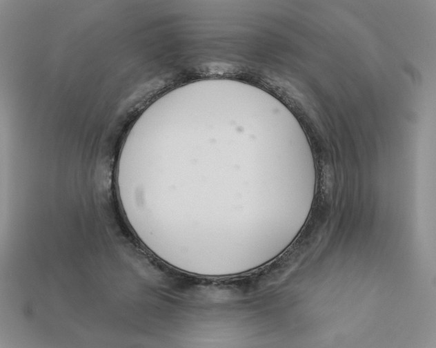 X0000113360545200910131302