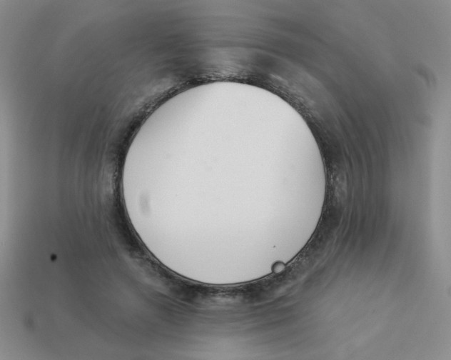 X0000113360546200910131302