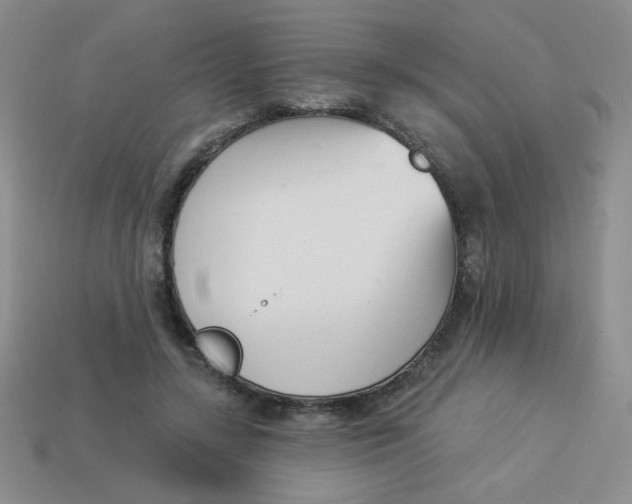 X0000113360547200910131302