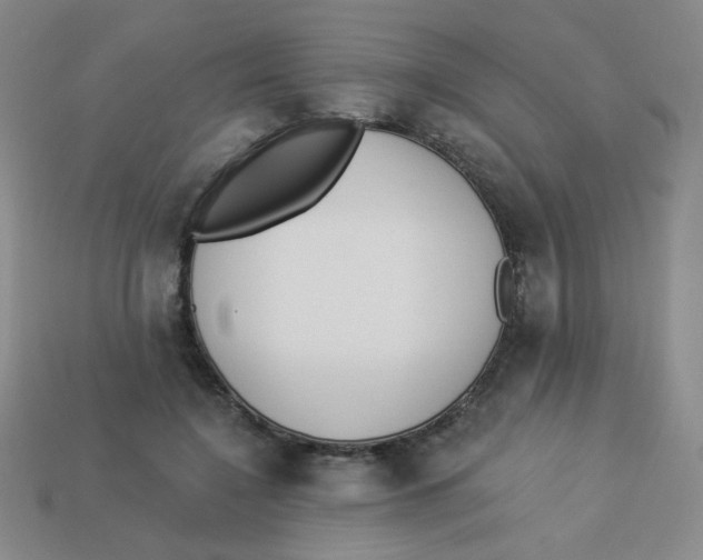 X0000113360548200910131302