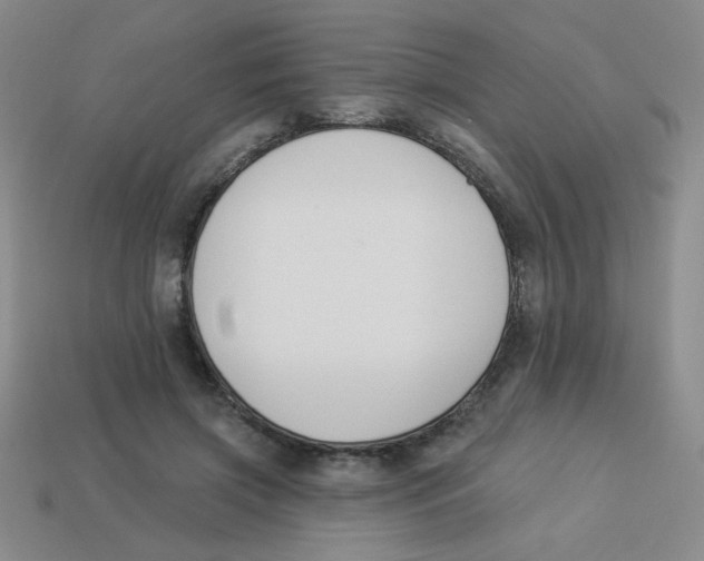 X0000113360549200910131302