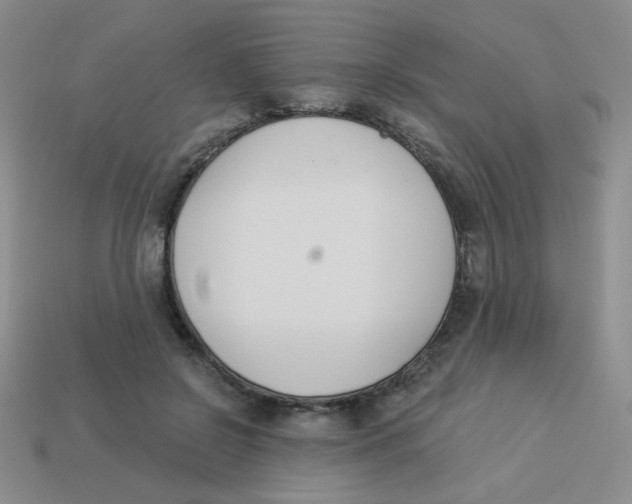 X0000113360550200910131302