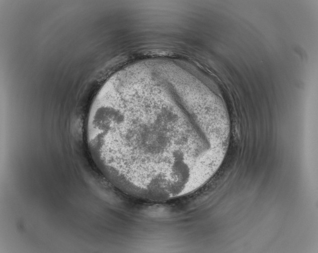 X0000113360551200910131302