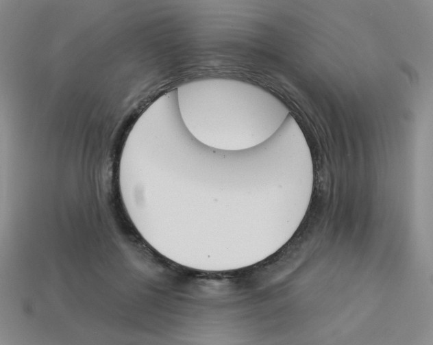 X0000113360552200910131302