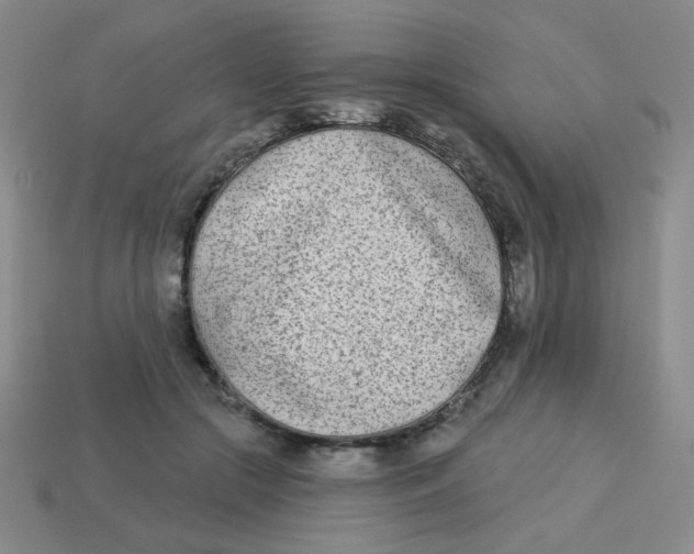 X0000113360553200910131302