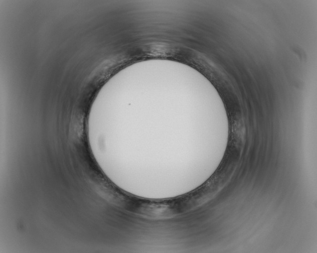 X0000113360554200910131302