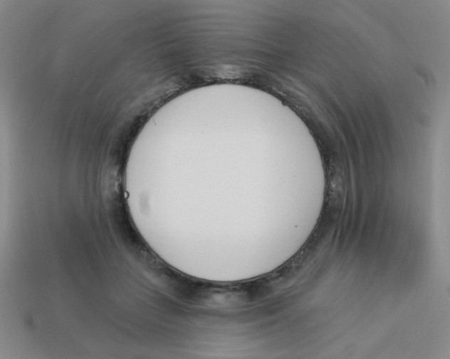 X0000113360555200910131302