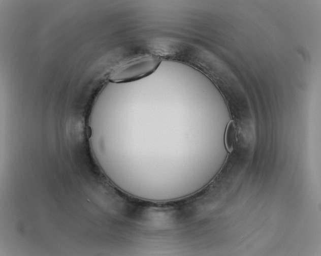 X0000113360556200910131302