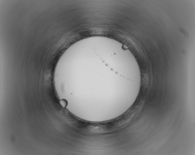 X0000113360557200910131302
