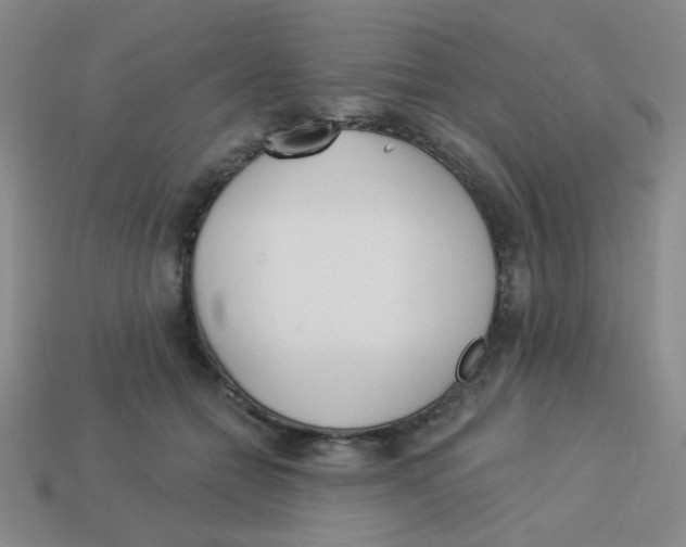 X0000113360558200910131302