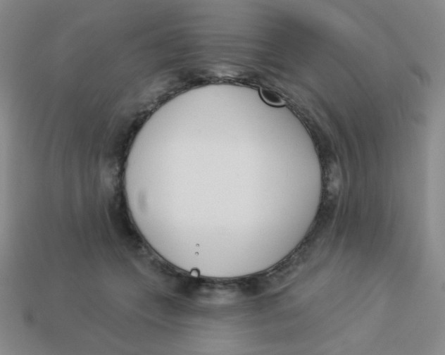 X0000113360559200910131302