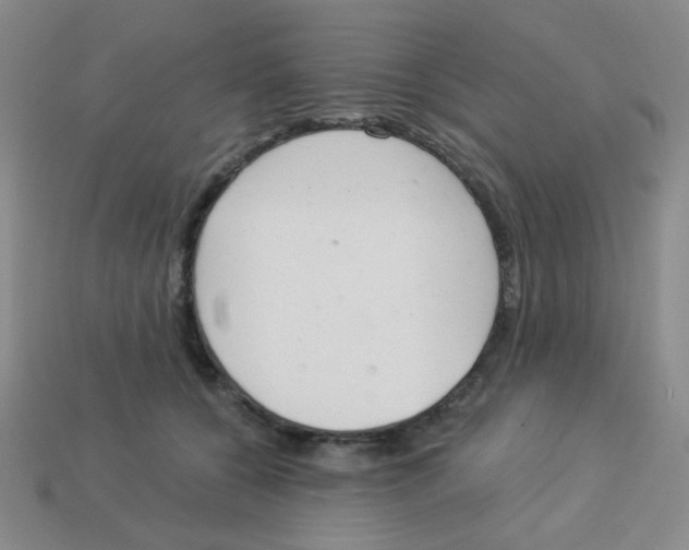X0000113360560200910131302