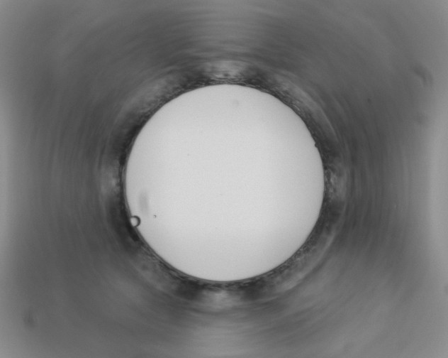 X0000113360561200910131302